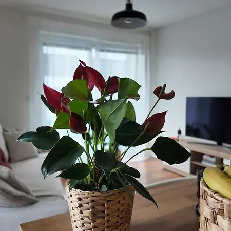 Bright&spacious Near City&nature *